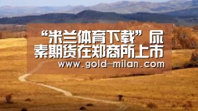 米兰体育网页版
